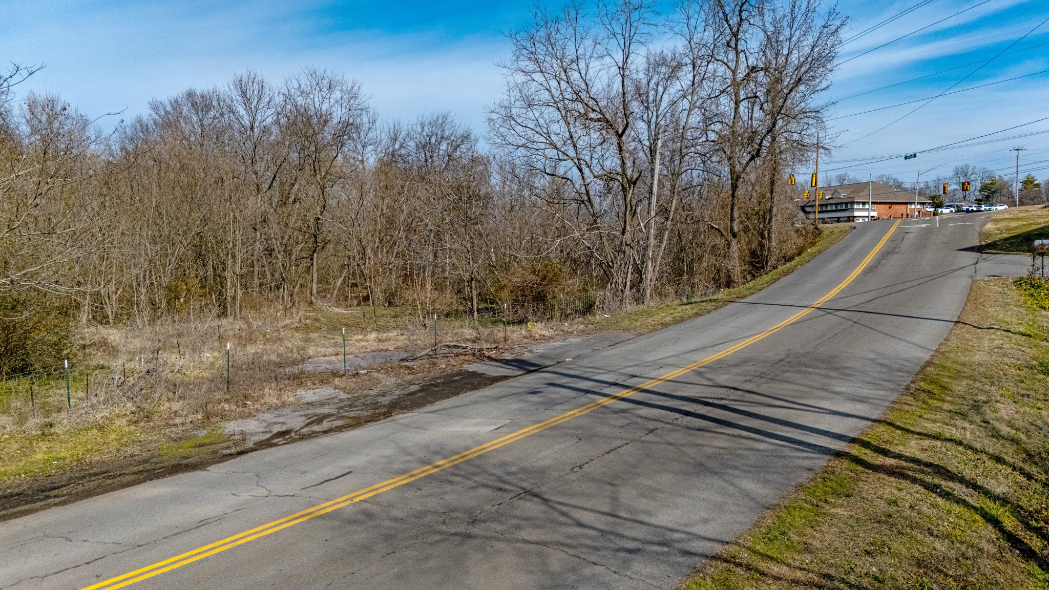 0 Henslee Dr Spring Street Dickson, TN 37055 - Photo 9 of 21 a view of a yard with trees