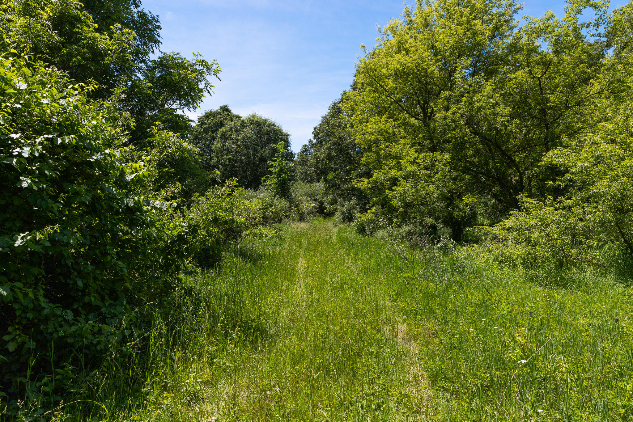 28 28 Mile Road Albion, MI 49224 - Photo 27 of 41 28 Mile -29