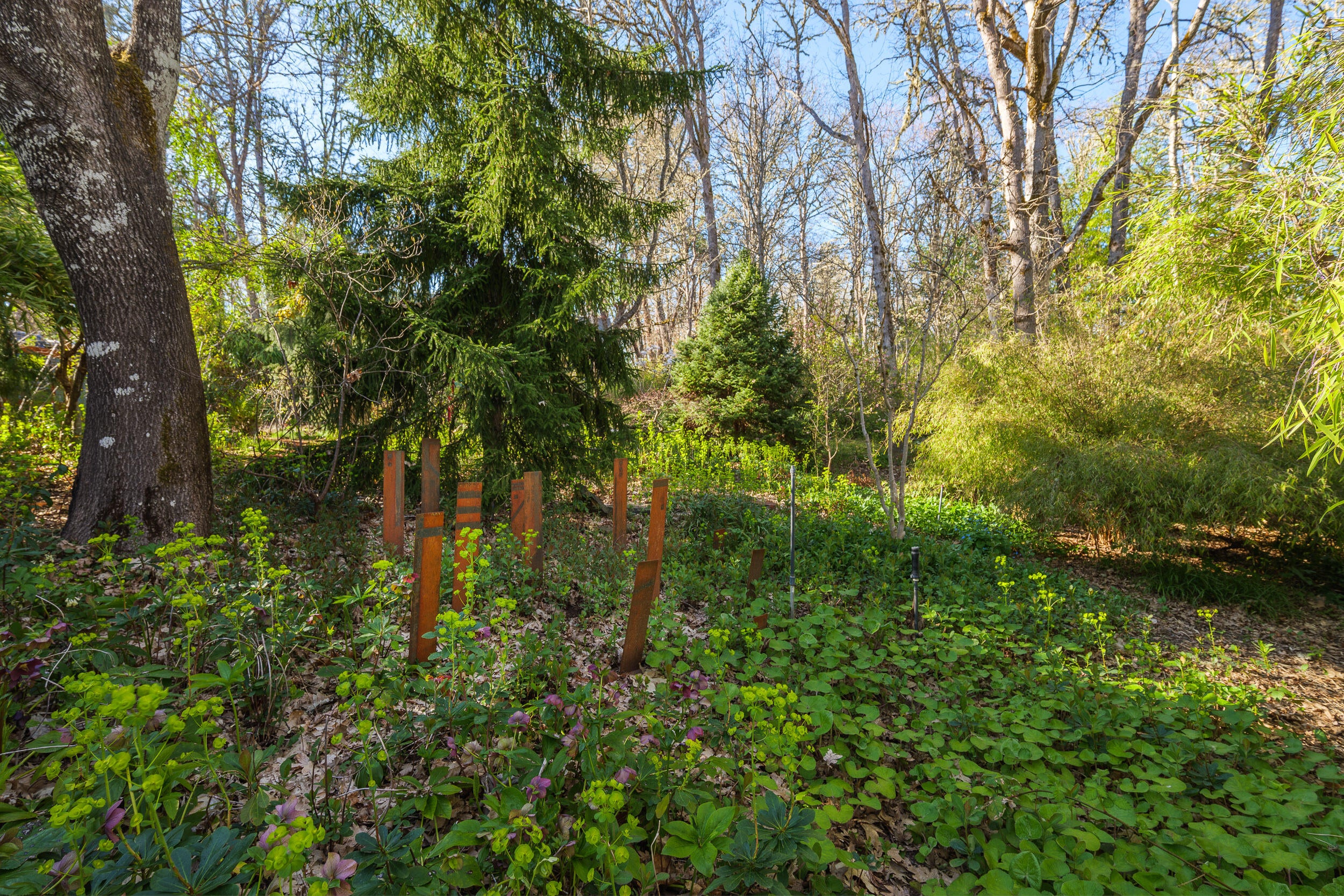 3800 Russell Road Grants Pass, OR 97526 - Photo 38 of 71 3800RusselRd-045
