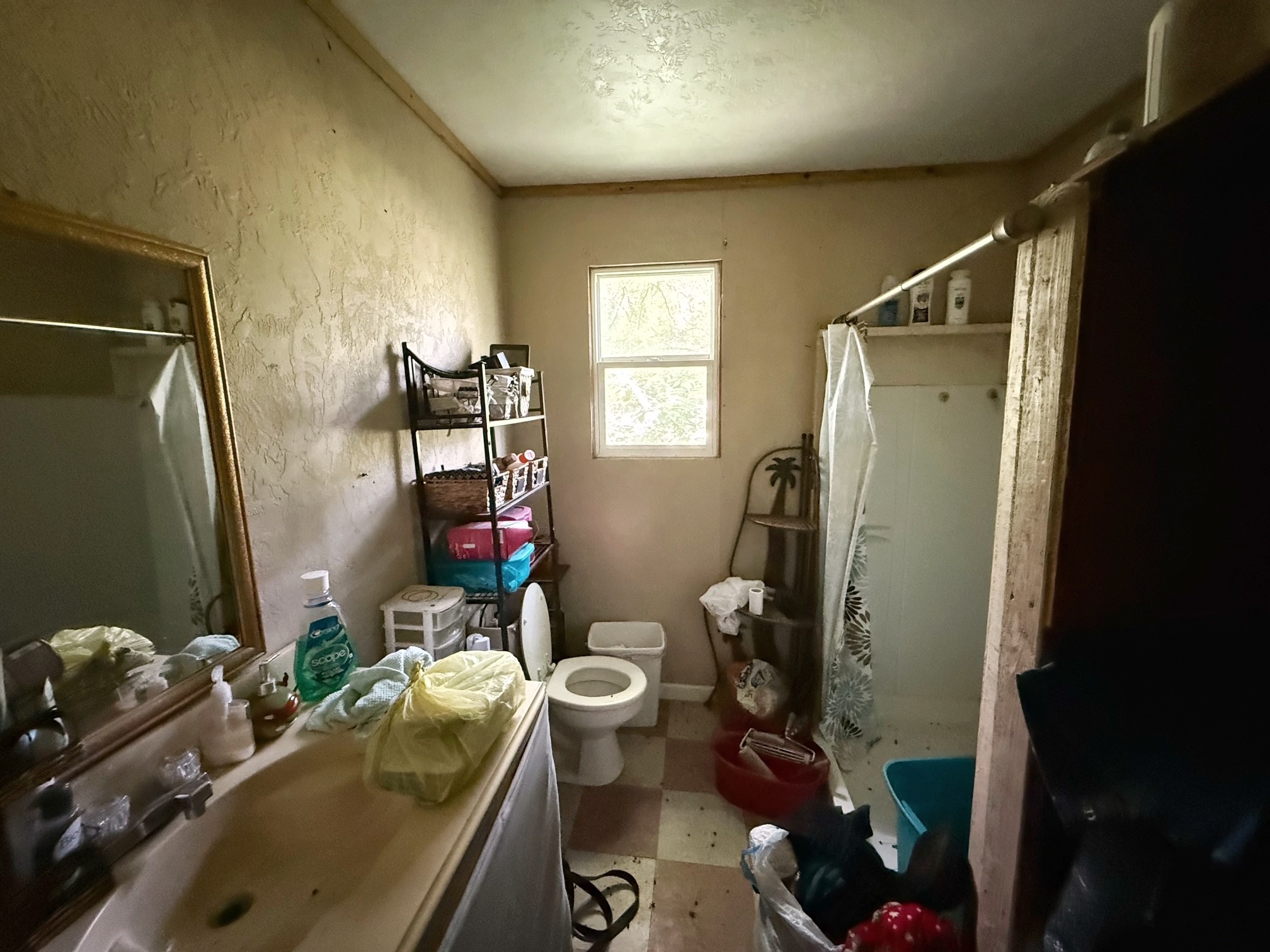 1491 County Road 1464 Centerville, TX 75833 - Photo 17 of 19 a bathroom with a sink toilet and shower