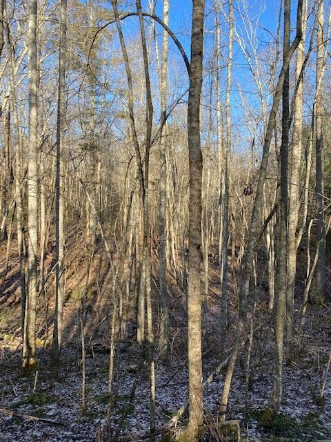 142 Cole Road Deer Lodge, TN 37726 - Photo 64 of 77 20220322195757126529000000-o