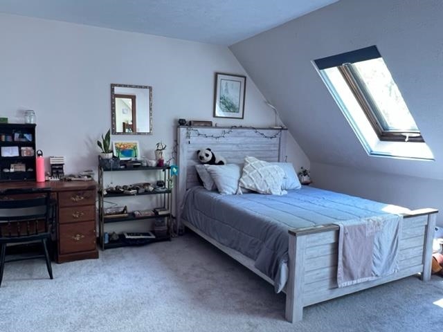2717 Green Hill Road Chatham, NH 03813 - Photo 24 of 30 Gallery Image 24
