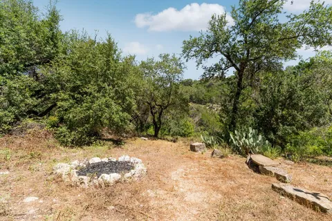 a view of a yard with trees