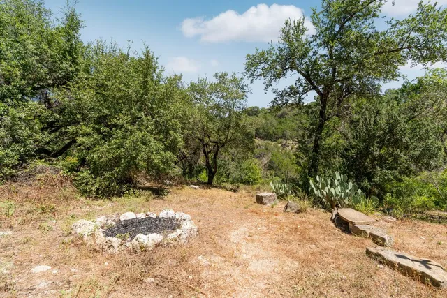 a view of a yard with trees