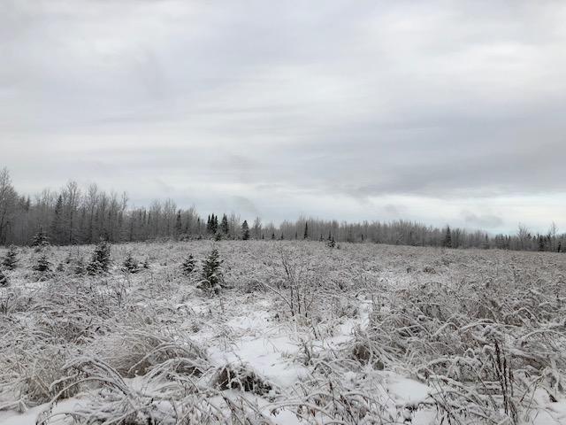 0 McSheffery Road Houlton, ME 04730 - Photo 2 of 8 IMG_3545