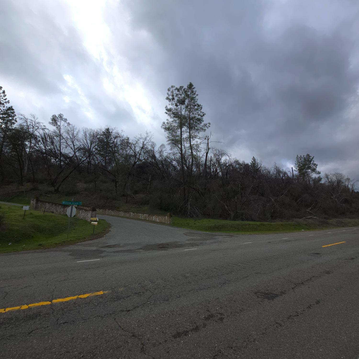 0 Willow Glen Road Rackerby, CA 95972 - Photo 4 of 8