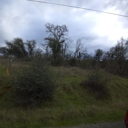 a view of a lake in between two two trees