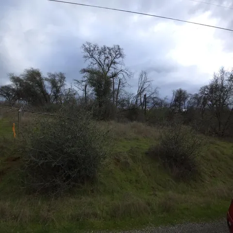 a view of a lake in between two two trees