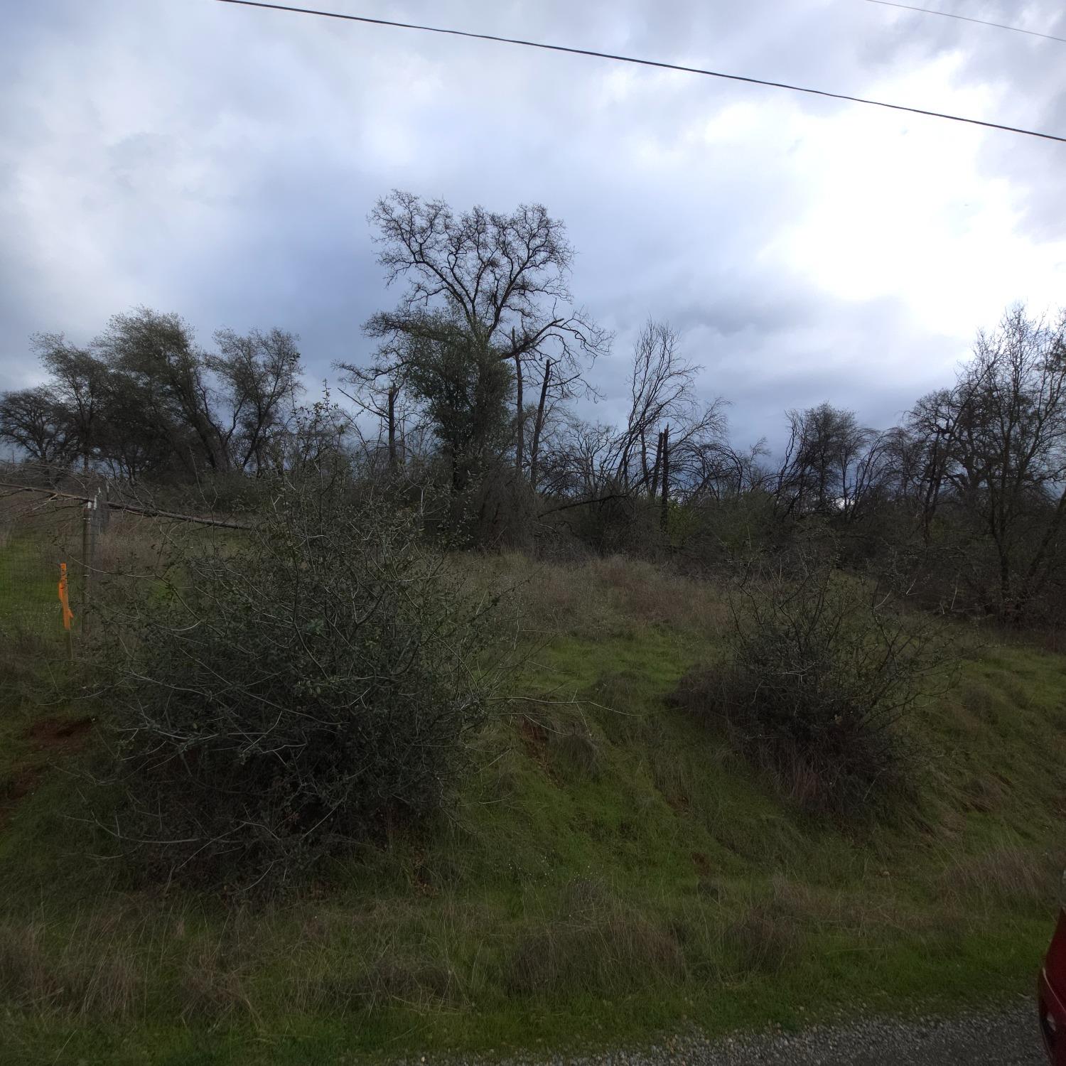 0 Willow Glen Road Rackerby, CA 95972 - Photo 5 of 8 a view of a lake