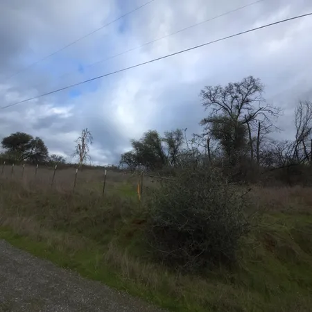 a terrace of a house with lots of trees