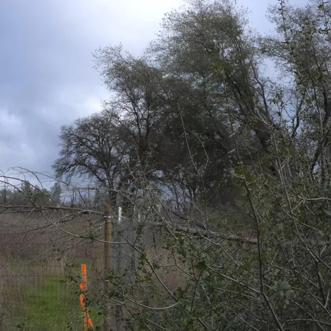 $139,011 | 0 Willow Glen Road, Rackerby, CA 95972