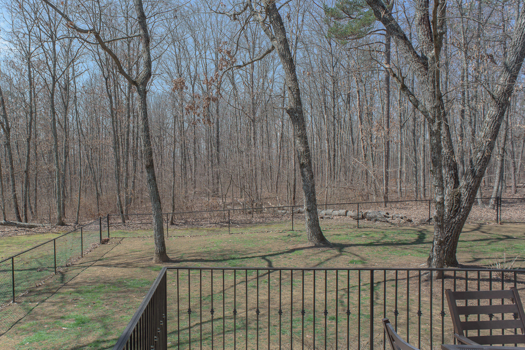 70 Horseshoe Road Signal Mountain, TN 37377 - Photo 40 of 52 Backyard