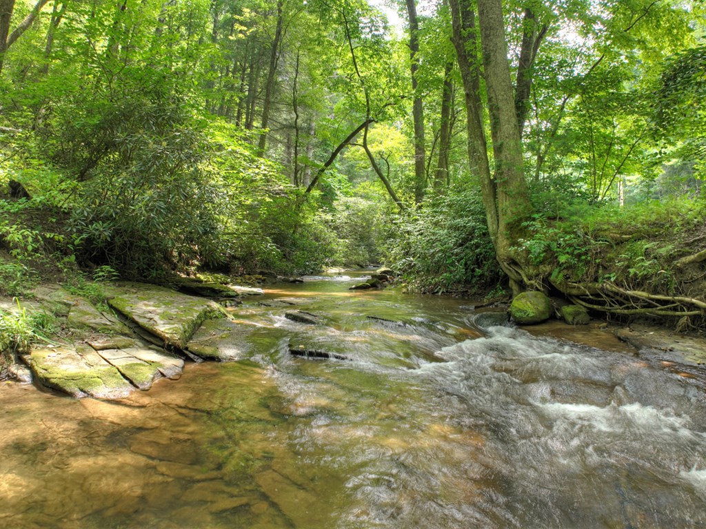100 Stanley Creek Road Cherry Log, GA 30522 - Photo 3 of 81 a view of outdoor space and yard