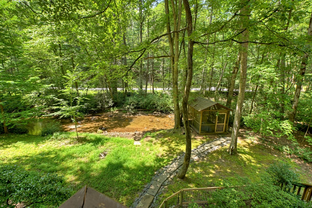 100 Stanley Creek Road Cherry Log, GA 30522 - Photo 31 of 81 a view of yard