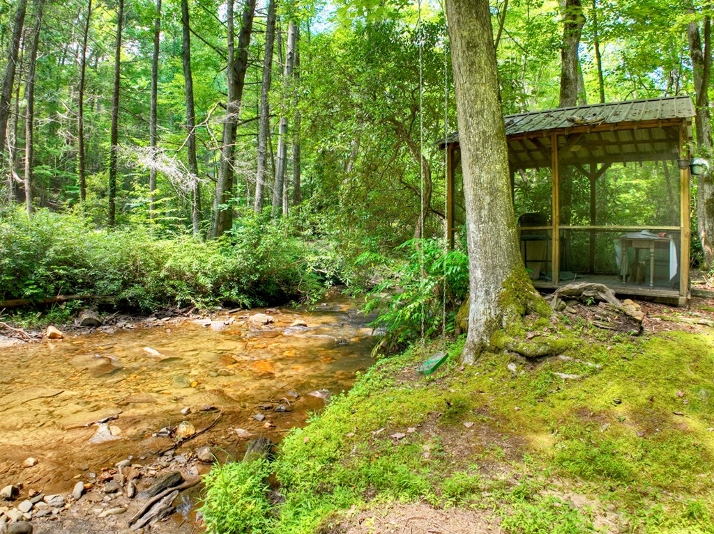 100 Stanley Creek Road Cherry Log, GA 30522 - Photo 45 of 81 a view of backyard with green space