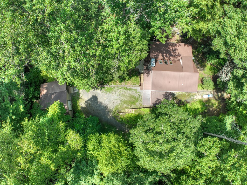 100 Stanley Creek Road Cherry Log, GA 30522 - Photo 62 of 81