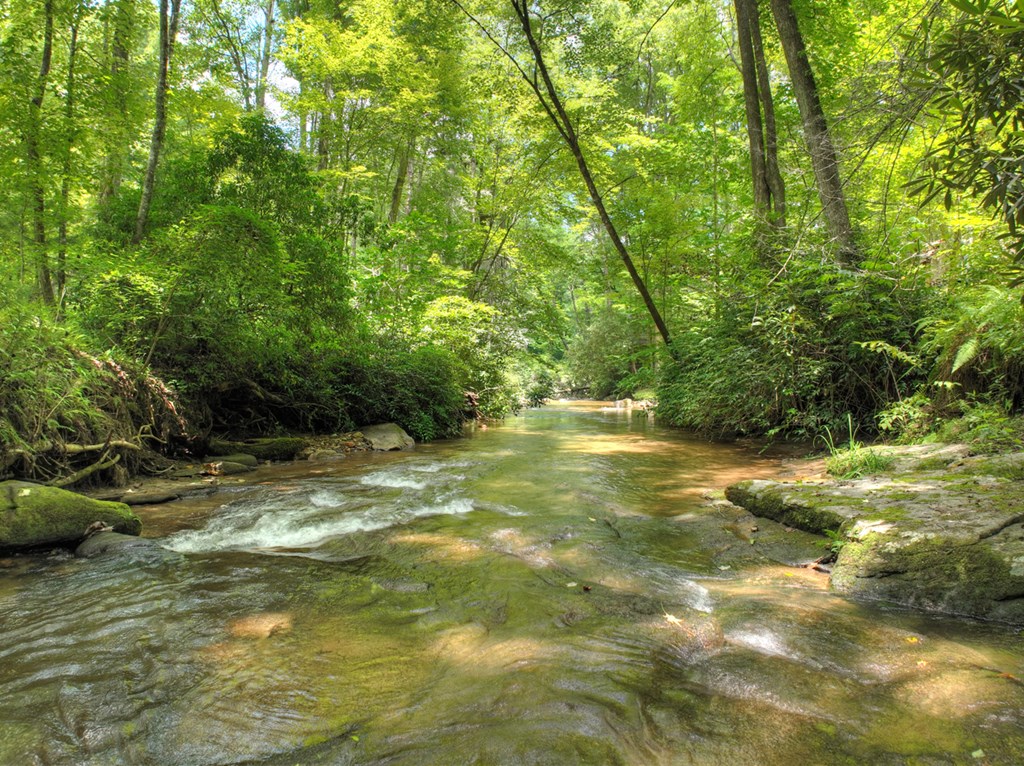 100 Stanley Creek Road Cherry Log, GA 30522 - Photo 7 of 81 a view of yard with green space