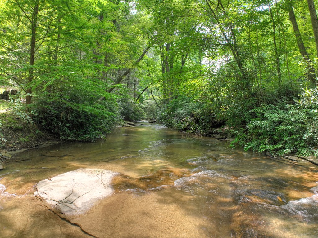 100 Stanley Creek Road Cherry Log, GA 30522 - Photo 72 of 81