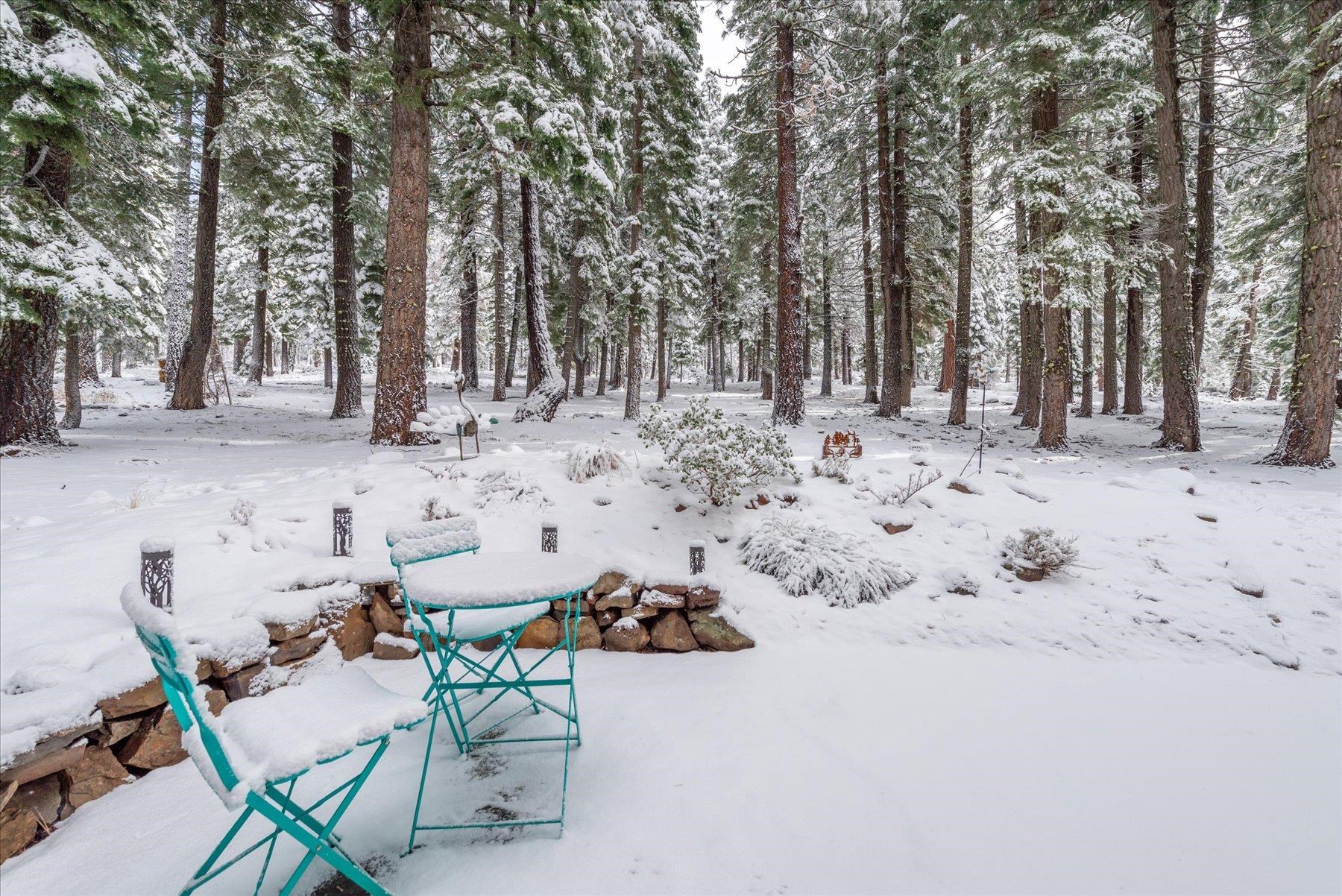 11485 Sitzmark Way Truckee, CA 96161 - Photo 16 of 28