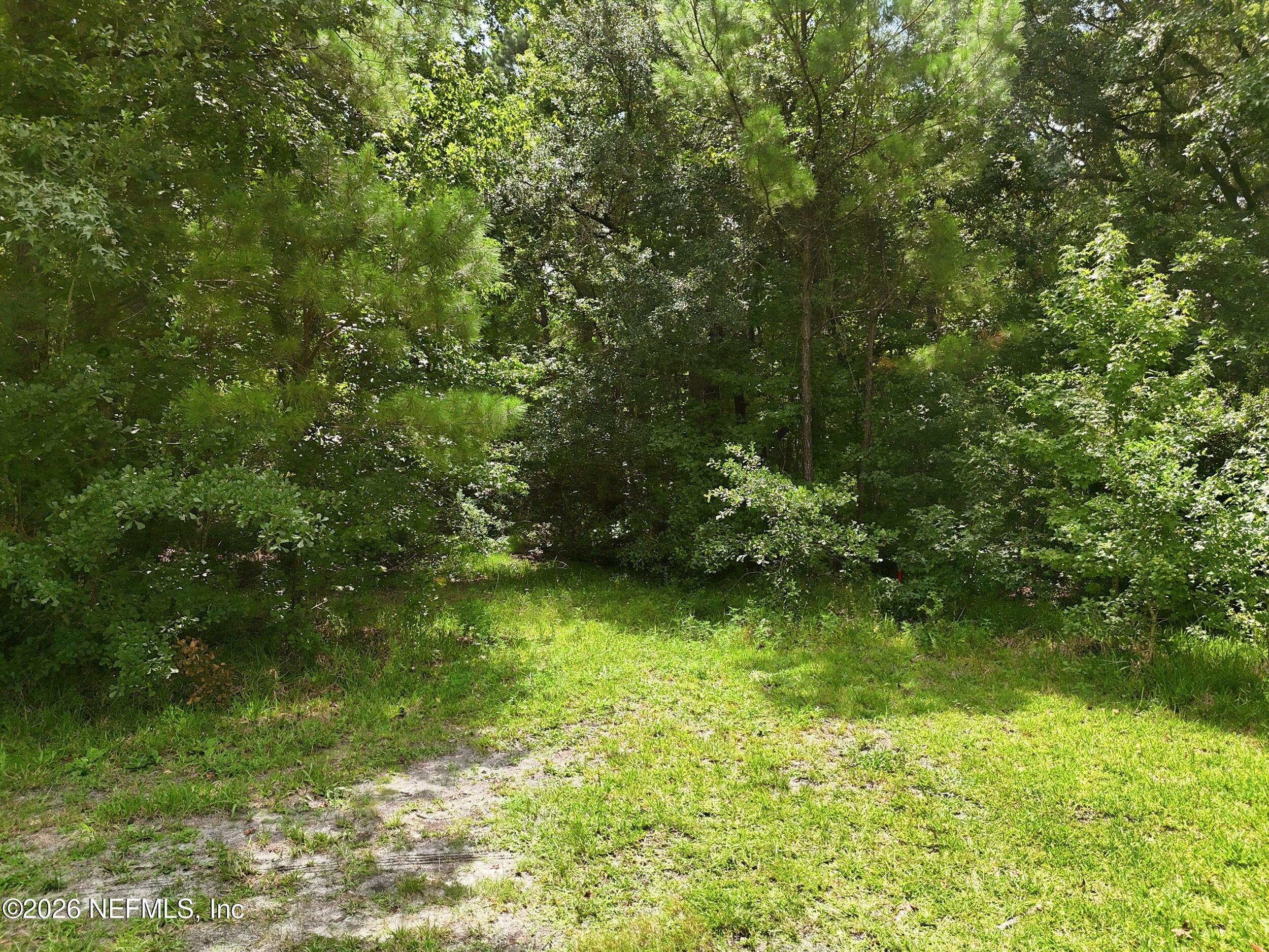 143 Pinetree Road Palatka, FL 32177 - Photo 21 of 33 the real estateographers_013