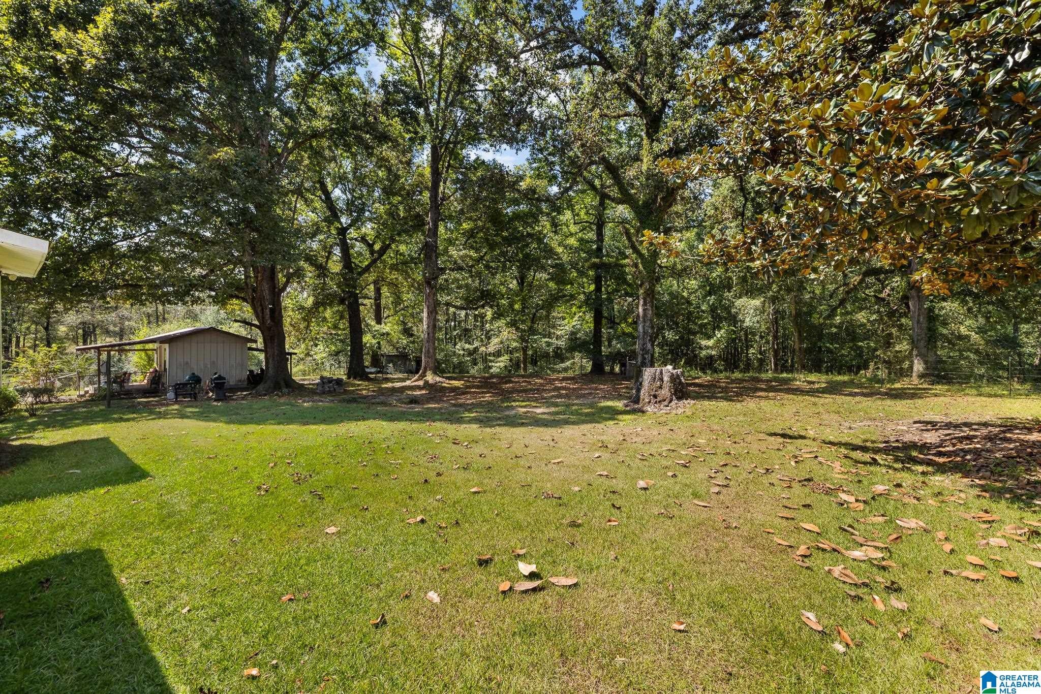 1096 Bud Littlejohn Road Clanton, AL 35045 - Photo 42 of 64 Gallery Image 42