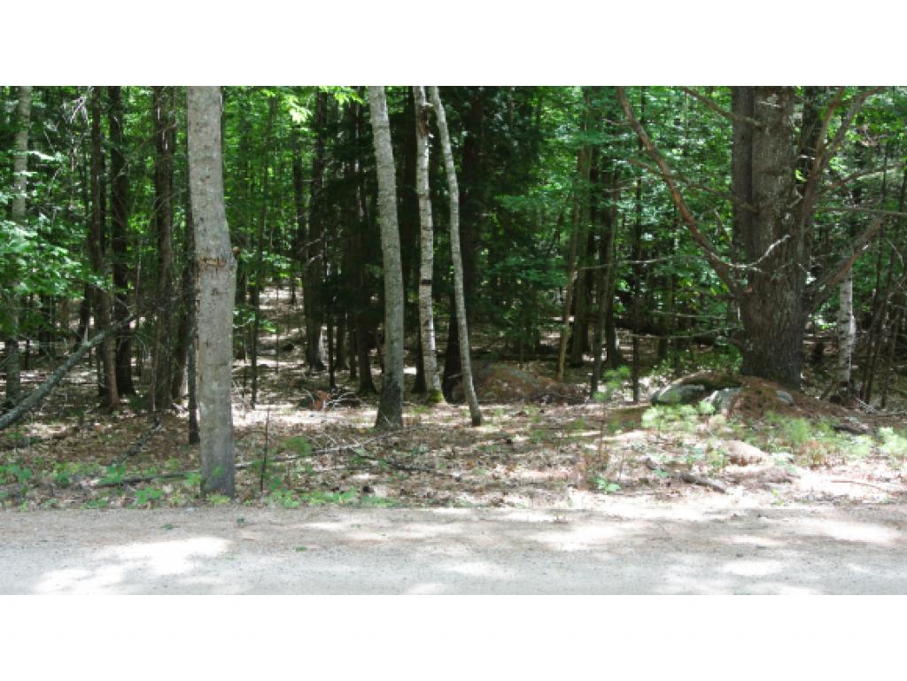 0 Southerlee Shores Road Warner, NH 03278 - Photo 1 of 14 Gallery Image 1