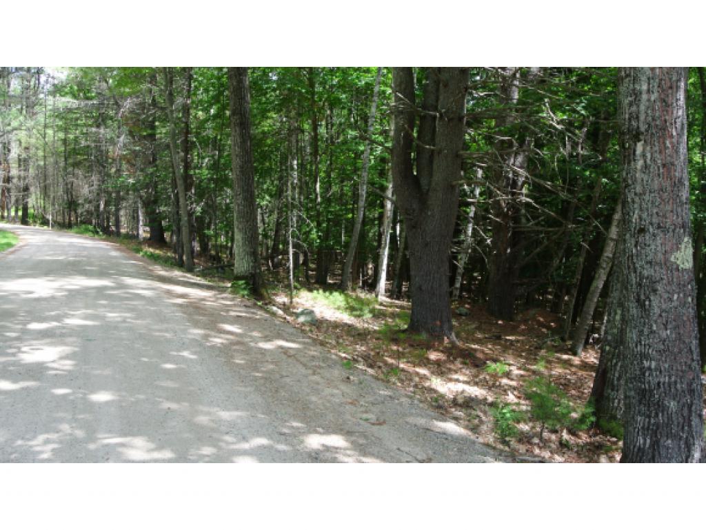0 Southerlee Shores Road Warner, NH 03278 - Photo 3 of 14 Gallery Image 3