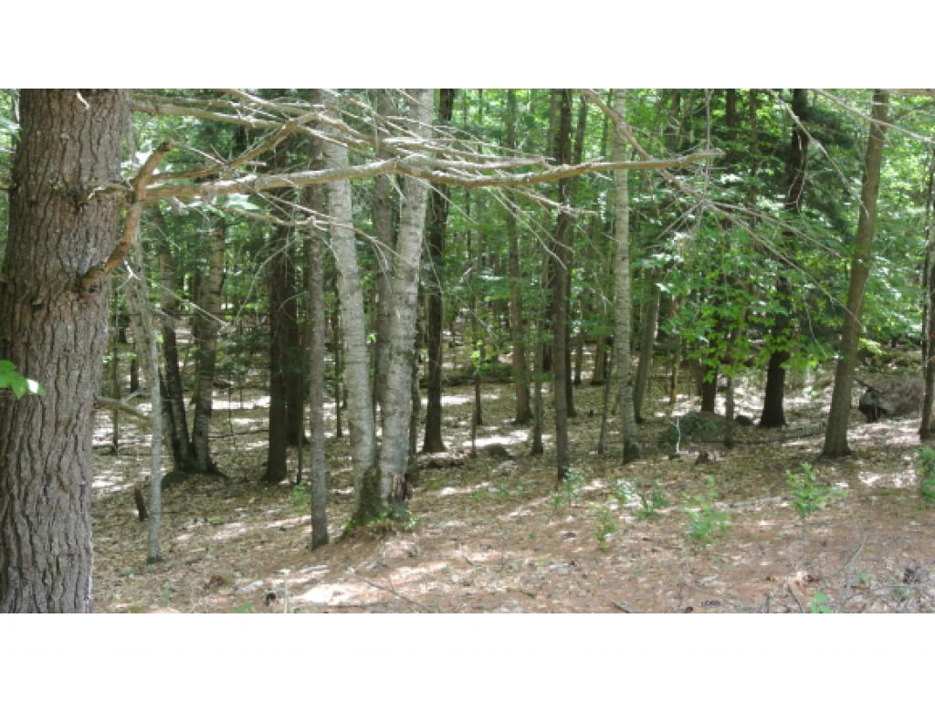 0 Southerlee Shores Road Warner, NH 03278 - Photo 5 of 14 Gallery Image 5