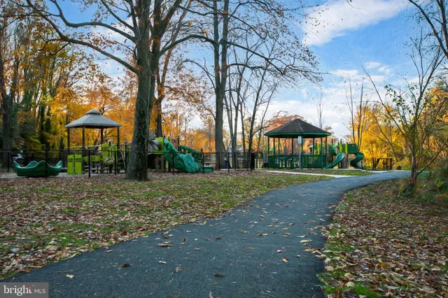 a view of a park with large trees