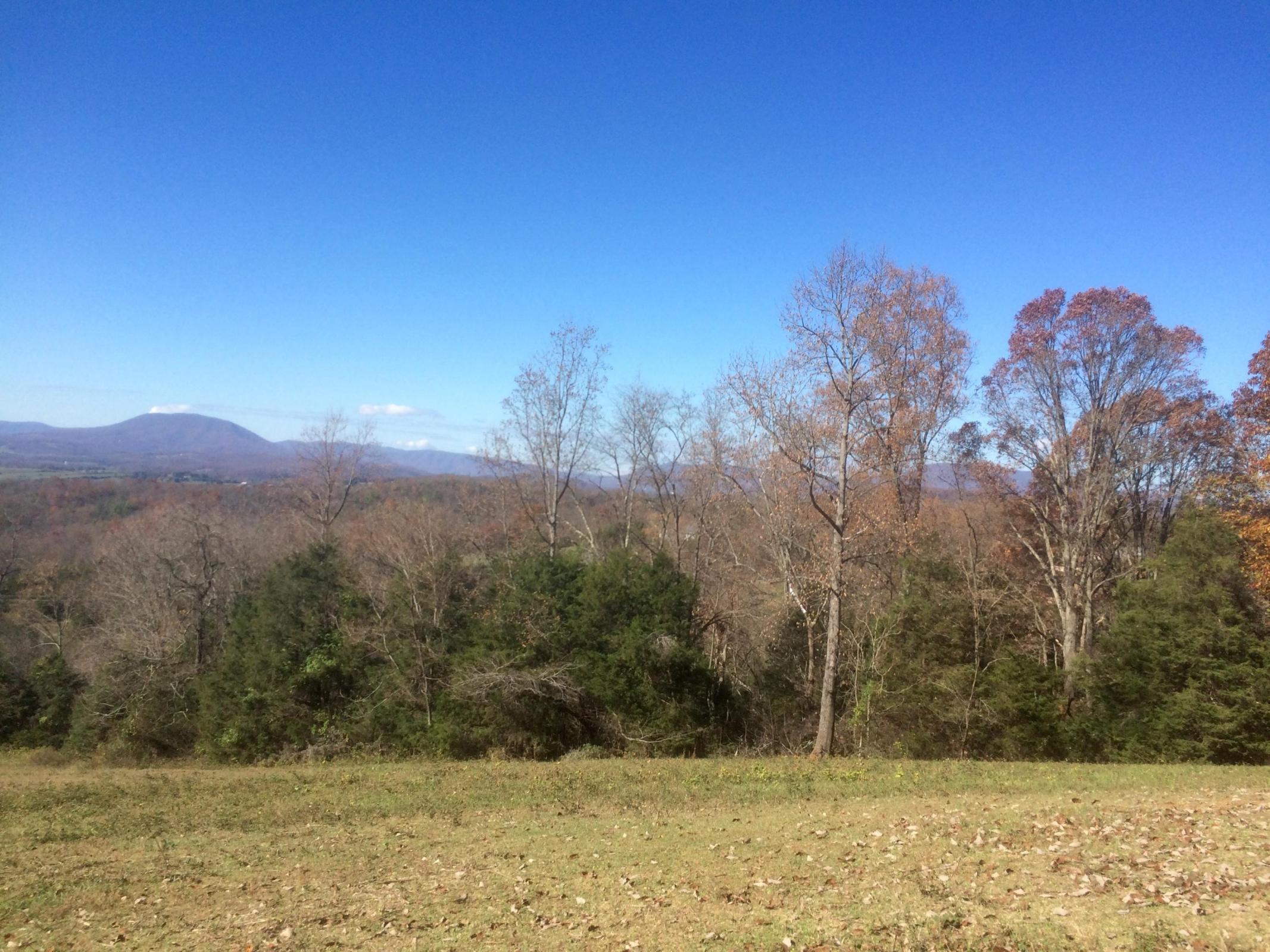 0 Mountain View Road Lexington, VA 24450 - Photo 3 of 19 3