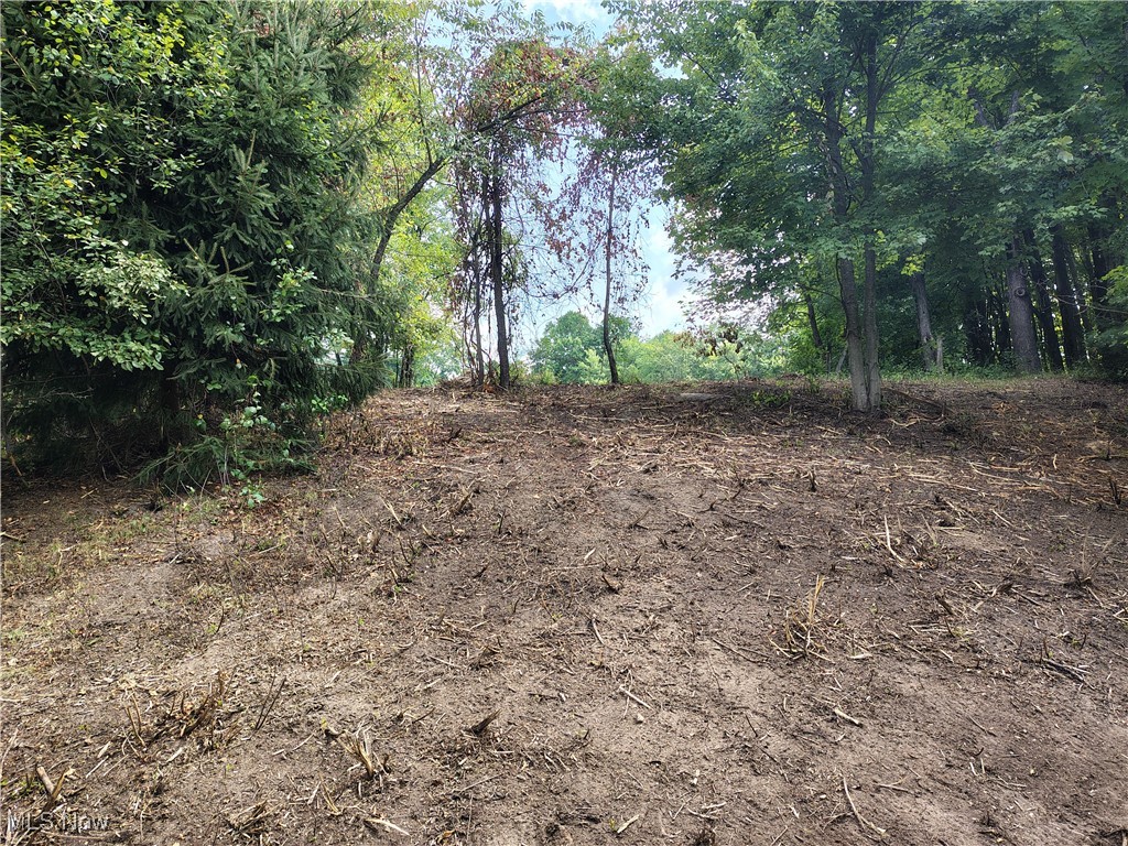 10606 Sherman Road Chardon, OH 44024 - Photo 27 of 34 Gallery Image 27