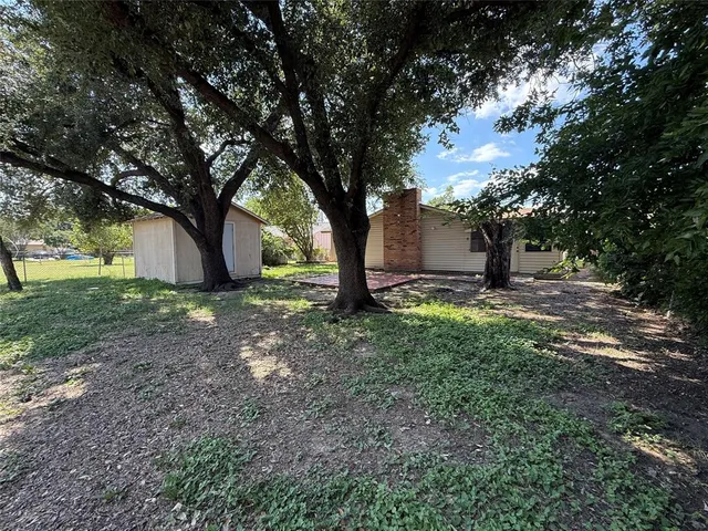 a view of backyard with tree