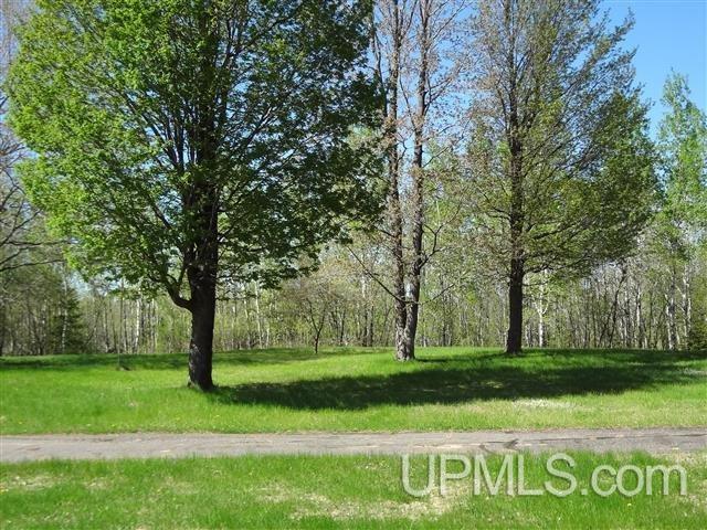 373 Long Lake Road Crystal Falls, MI 49920 - Photo 16 of 26 Gallery Image 16