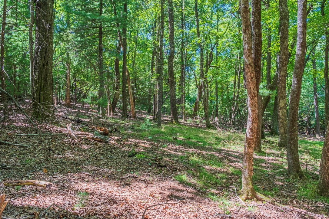 Country Club Road, Unit 44R Glade Valley, NC 28627 - Photo 2 of 4 Gallery Image 2