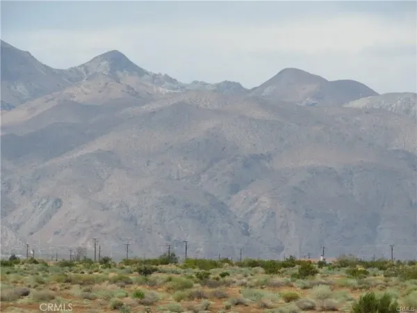 a view of a mountain from a yard