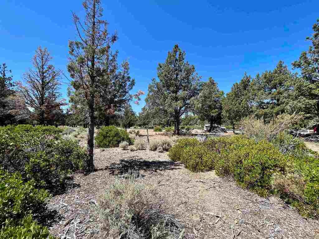 0 Sherwood Road Weed, CA 96094 - Photo 5 of 8 Gallery Image 5