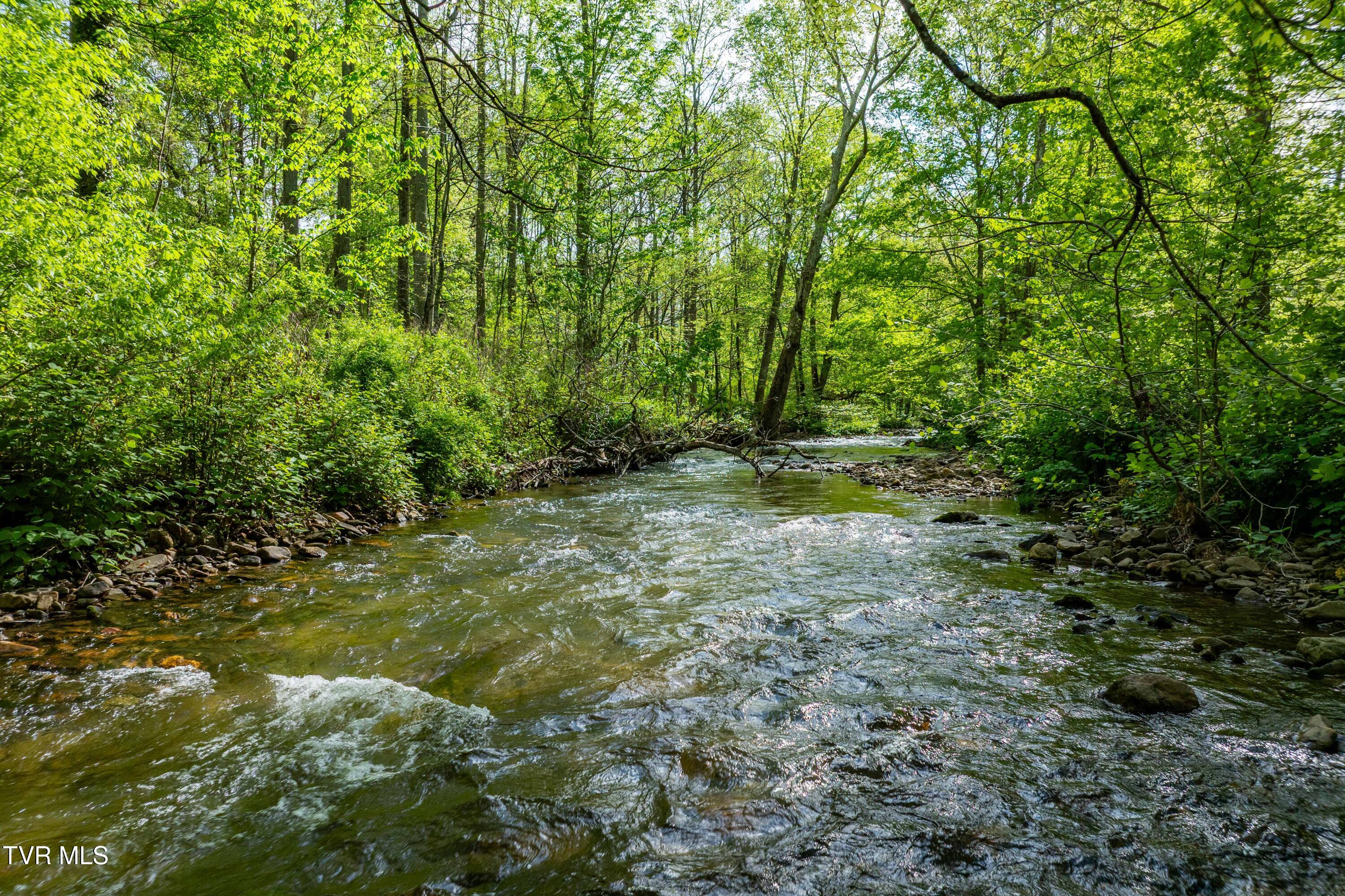 135 Grindstaff Hollow Road Elizabethton, TN 37643 - Photo 48 of 116 135 Grindstaff Hollow (21 of 82)