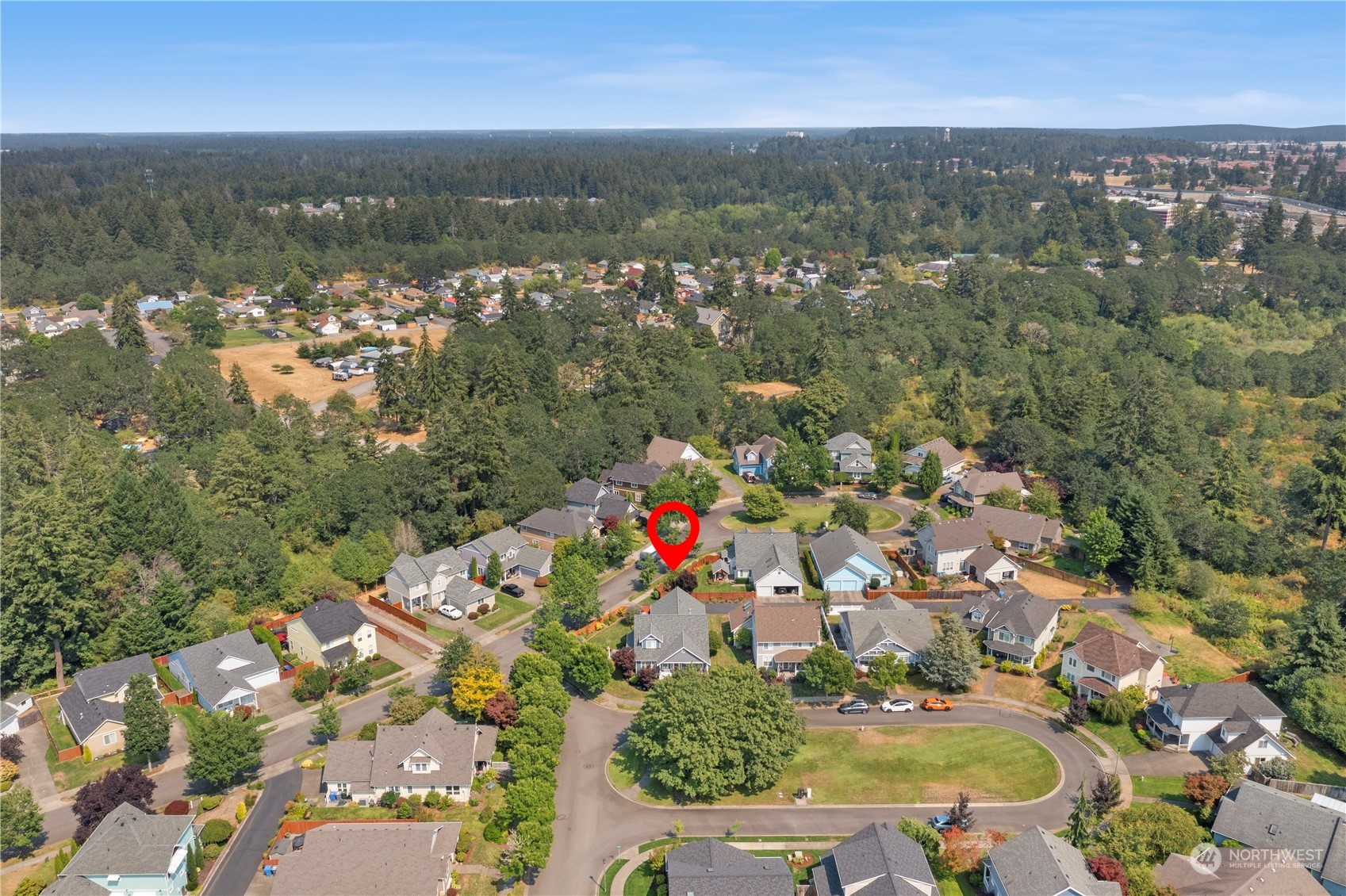1460 Latham Court DuPont, WA 98327 - Photo 40 of 40 an aerial view of multiple house