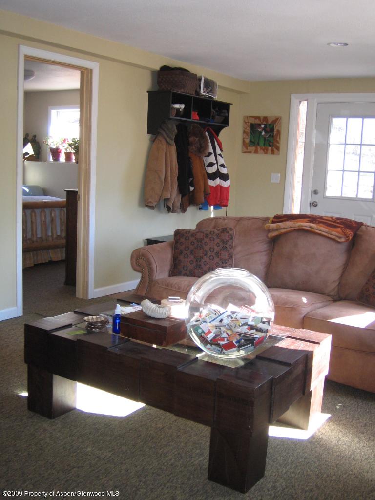 289 7 Oaks Road Carbondale, CO 81623 - Photo 15 of 22 Rec Room