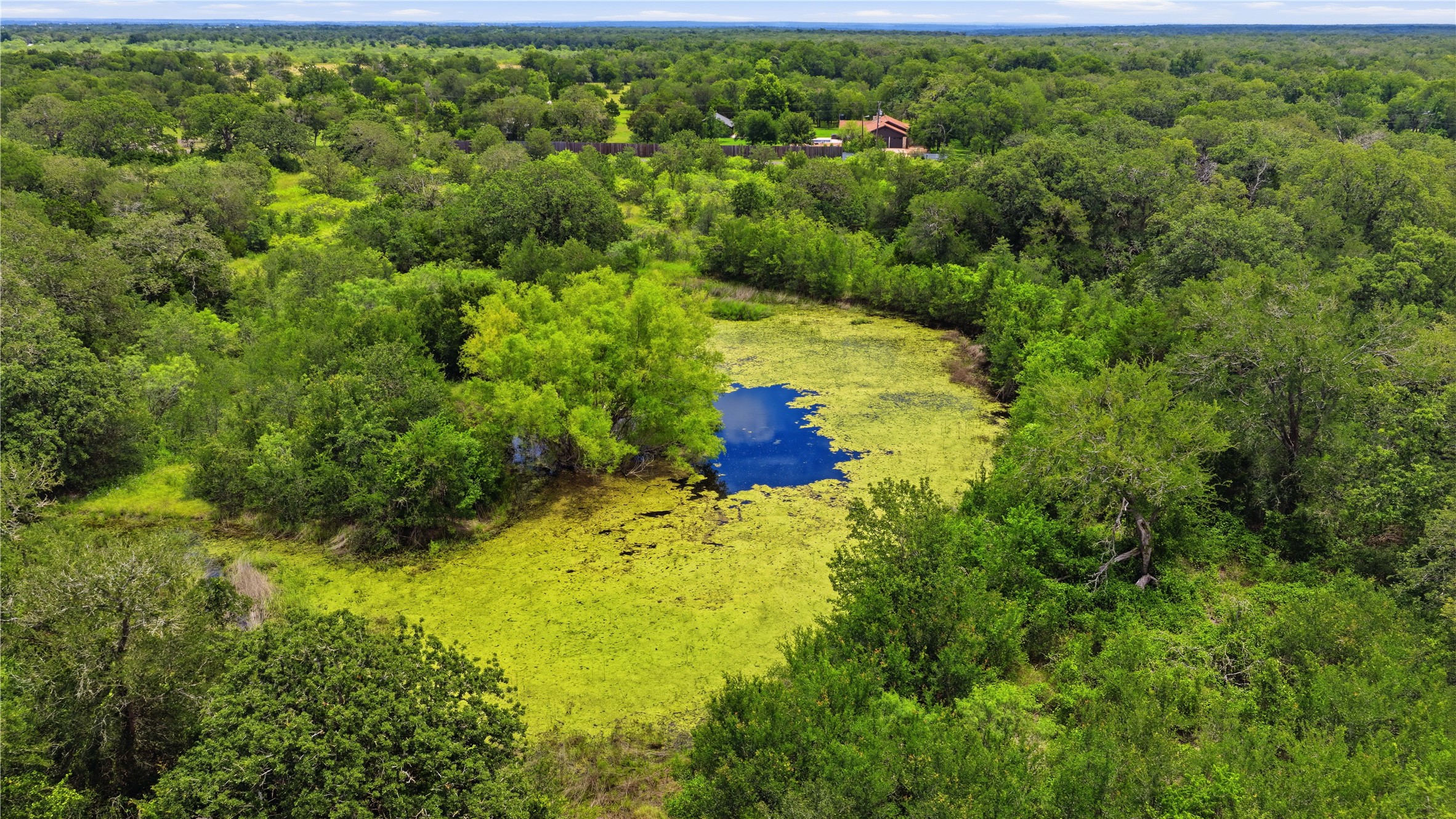 10312 Parsons Road Manor, TX 78653 - Photo 16 of 26 A tranquil pond nestles amidst lush woodlands, offering a private, verdant escape.