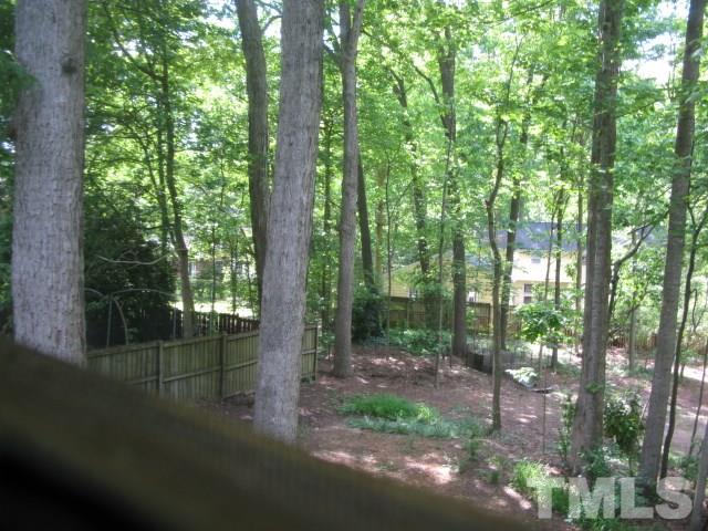 4201 Webster Court Raleigh, NC 27609 - Photo 5 of 25 a view of a forest with trees