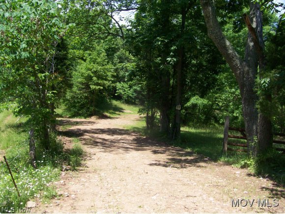 0 Barnes Run Road Sandyville, WV 25275 - Photo 1 of 20