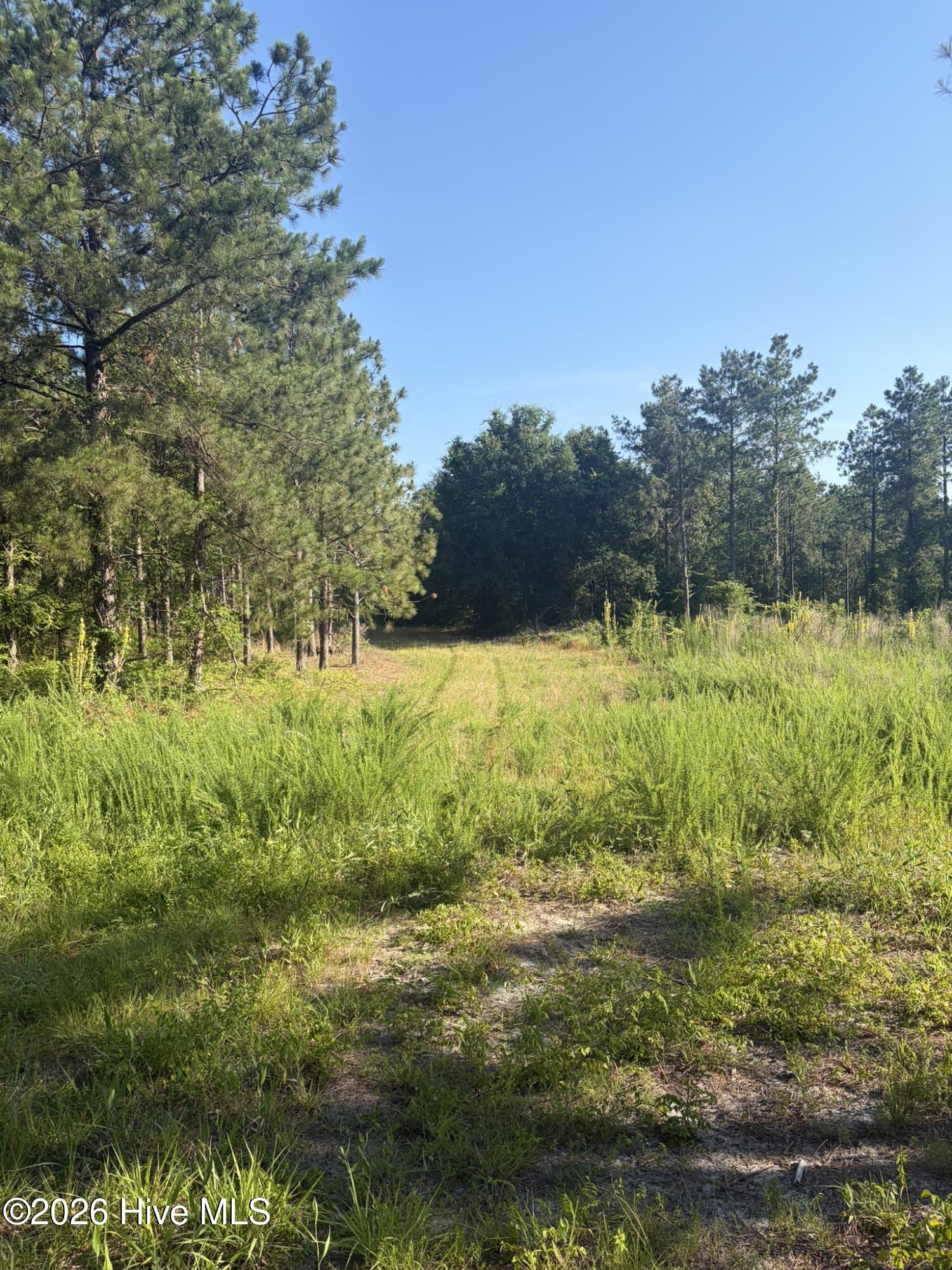 Tbd Jones Spring Church Road Ellerbe, NC 28338 - Photo 13 of 29
