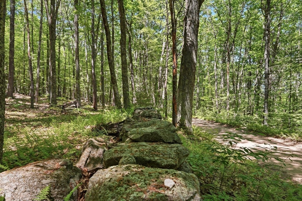 0 Carter Pond Road Petersham, MA 01366 - Photo 14 of 18