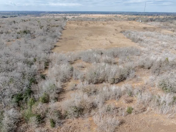 a view of a dry yard with trees