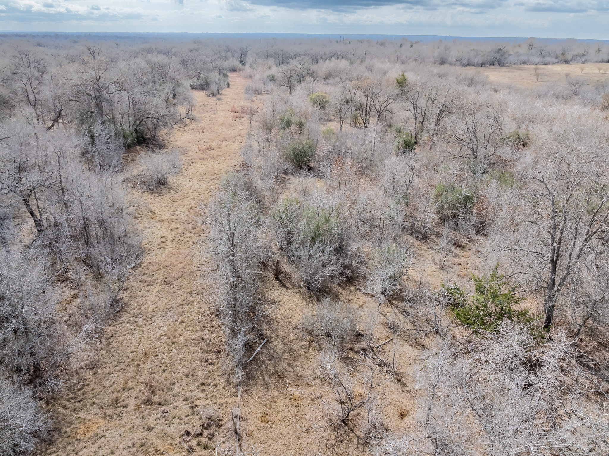 424 County Road 424 Waelder, TX 78959 - Photo 12 of 30 a view of a dry yard with trees