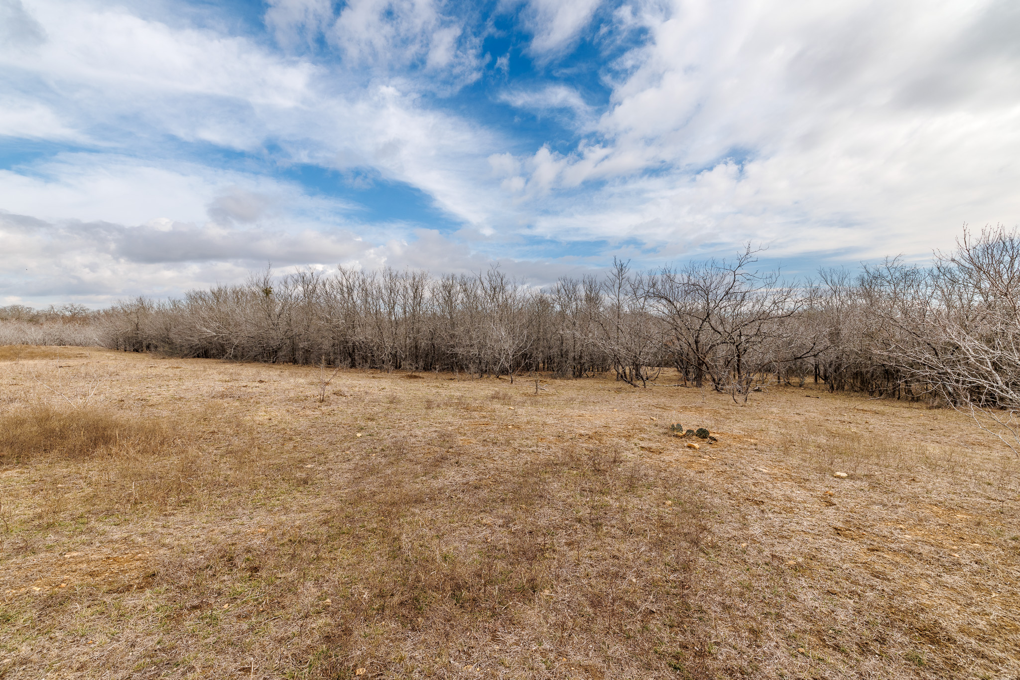 424 County Road 424 Waelder, TX 78959 - Photo 26 of 30 a view of a field