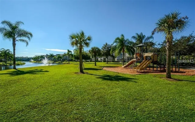 a view of a park with palm trees