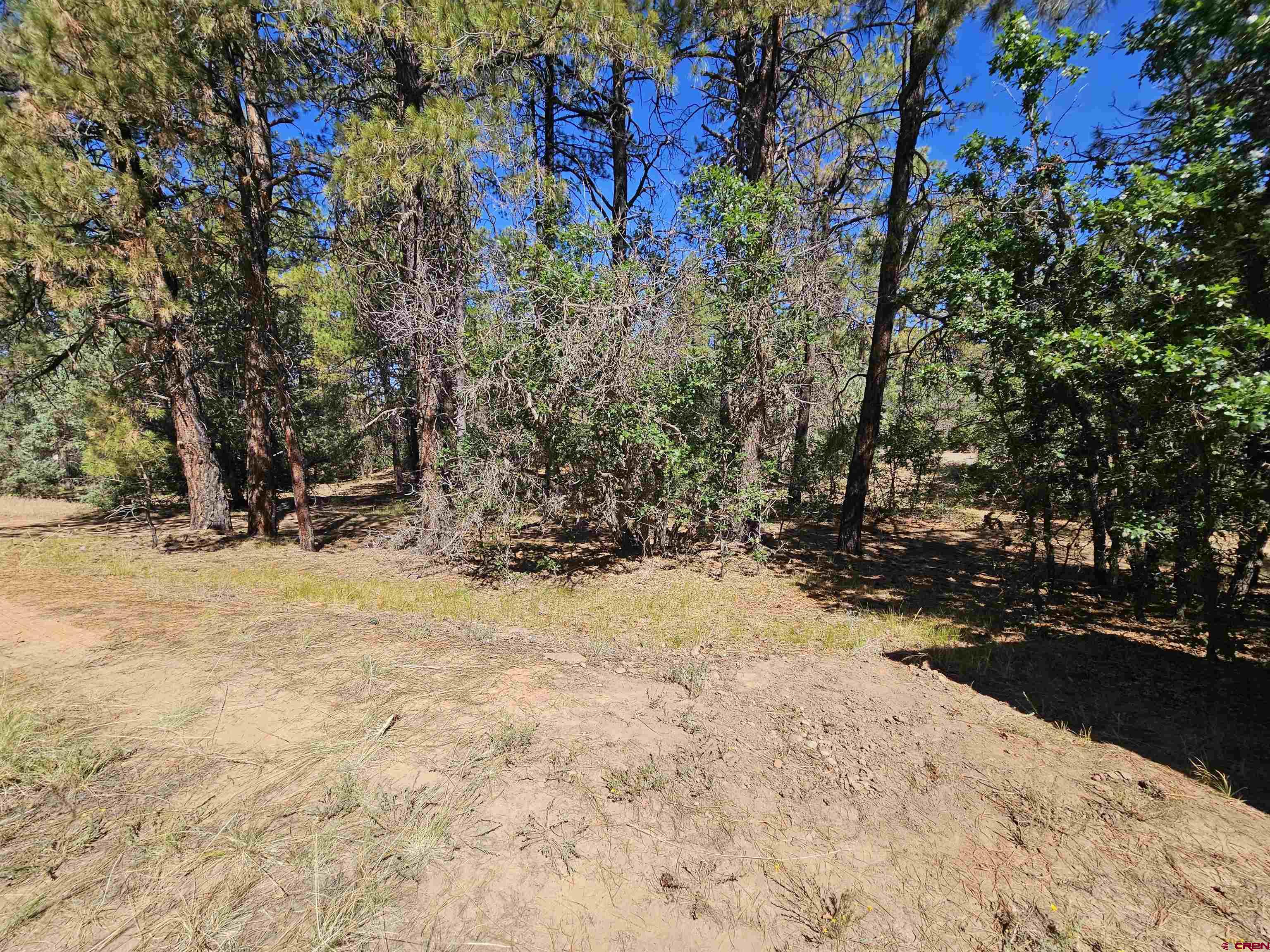 53 Crooked Road Pagosa Springs, CO 81147 - Photo 12 of 14