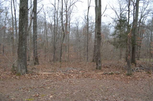 3490 Hunters Ridge Woodlawn, TN 37191 - Photo 16 of 18 Property View